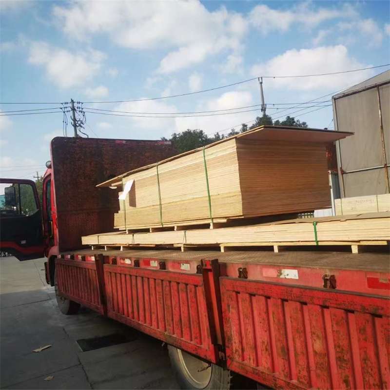 江西南昌南昌县至塔城货运专线，一站式物流服务助您成功